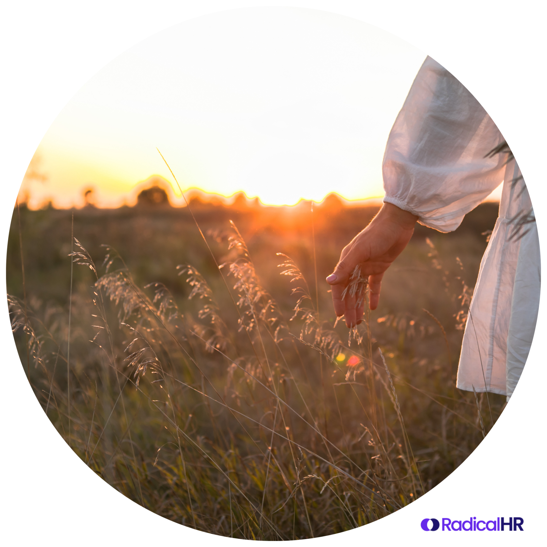 Untitled design Untitled design